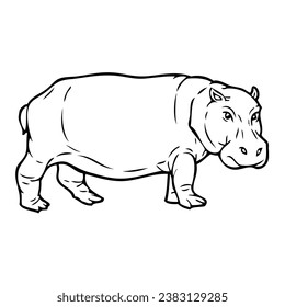 hippopotamus outline vector illustration,isolated on white background,top view