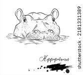 Hippopotamus, realistic animal sketch, vector illustration