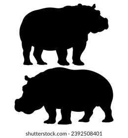 Hippopotamus Silhouettes on White Background