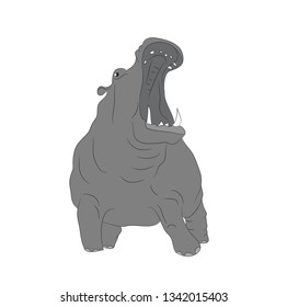 Hippopotamus stands drawing color, vector, white background