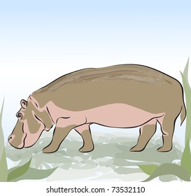 Hippopotamus. Vector Illustration