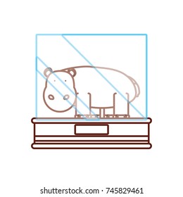  hippopotamus vector illustration
