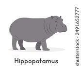 Hippopotamus vector illustration, cartoon clipart character, animal in flat style. Wild animals, wild creatures, wildlife concept. Hippo vector design isolated on white background