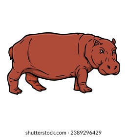 hippopotamus vector illustration,isolated on white background,top view