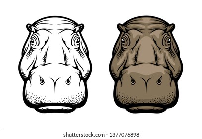 Hippopotamus wild African animal or hippo isolated head. Vector hippopotamus realistic head muzzle, safari zoo or hunting trophy animal and sport club mascot sign