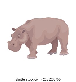 Hippopotamus, a wild animal of the African savannah. Cartoon vector graphics.