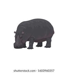 Hippopotamus wild animal vector isolated icon. African safari zoo and savanna hunt trophy hippopotamus