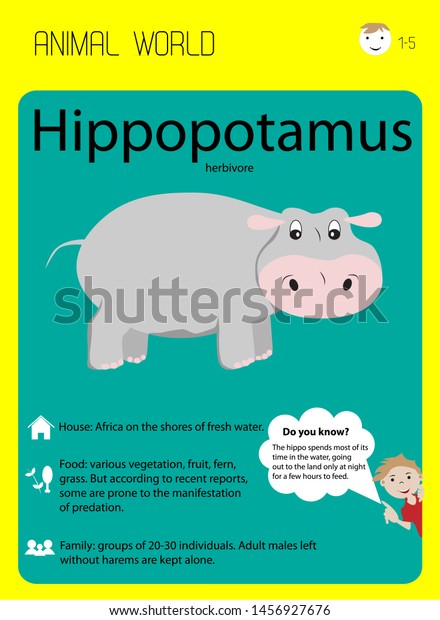 Hippopotamuscartoon Hippo Flashcard Educational Flash Cards Stock