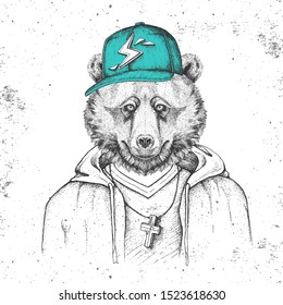 Hipster animal bear dressed in cap like rapper. Hand drawing Muzzle of bear