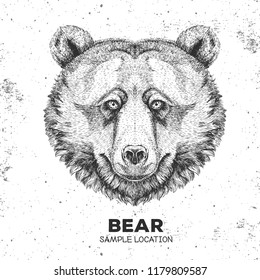 Hipster animal bear. Hand drawing Muzzle of animal bear