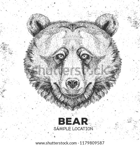 Hipster animal bear. Hand drawing Muzzle of animal bear