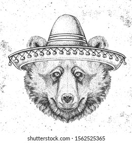 Hipster animal bear wearing a sombrero hat. Hand drawing Muzzle of bear