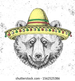 Hipster animal bear wearing a sombrero hat. Hand drawing Muzzle of bear