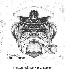 Hipster animal bulldog captain's cap and smoking pipe. Hand drawing Muzzle of bulldog