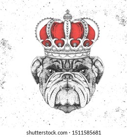 Hipster animal bulldog in crown. Hand drawing Muzzle of animal dog