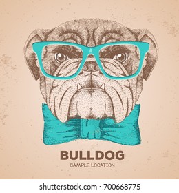 Hipster animal bulldog. Hand drawing Muzzle of animal dog