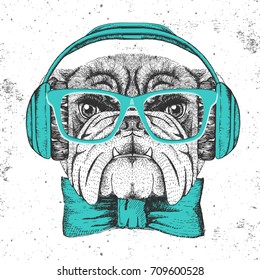 Hipster animal bulldog. Hand drawing Muzzle of animal dog