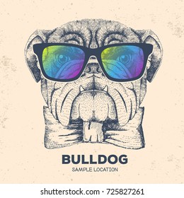 Hipster Animal Bulldog. Hand Drawing Muzzle Of Animal Dog