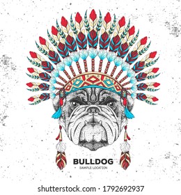 Hipster animal bulldog with indian feather headdress. Hand drawing Muzzle of animal bulldog