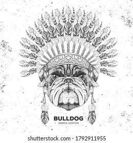 Hipster animal bulldog with indian feather headdress. Hand drawing Muzzle of animal bulldog