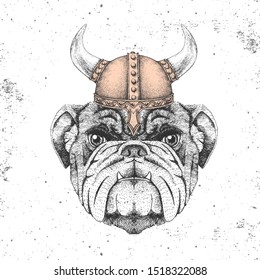 Hipster animal bulldog wearing a viking helmet. Hand drawing Muzzle of bulldog