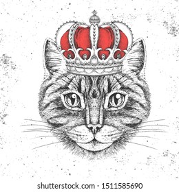Hipster animal cat in crown. Hand drawing Muzzle of animal cat