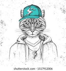 Hipster animal cat dressed in cap like rapper. Hand drawing Muzzle of cat