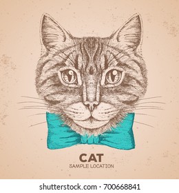 Hipster animal cat. Hand drawing Muzzle of animal cat