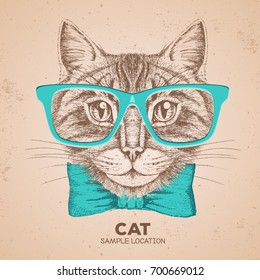 Hipster animal cat. Hand drawing Muzzle of animal cat