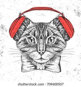 Hipster animal cat. Hand drawing Muzzle of animal cat