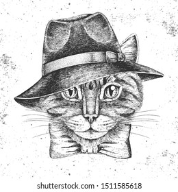 Hipster animal cat in hat. Hand drawing Muzzle of animal cat