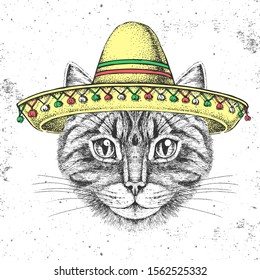 Hipster animal cat wearing a sombrero hat. Hand drawing Muzzle of cat