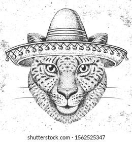 Hipster animal cheetah wearing a sombrero hat. Hand drawing Muzzle of cheetah