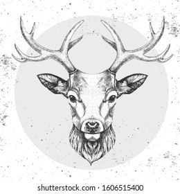 Hipster Animal Deer. Hand Drawing Muzzle Of Deer