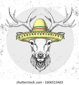 Hipster animal deer wearing a sombrero hat. Hand drawing Muzzle of deer