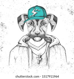 Hipster animal dog dressed in cap like rapper. Hand drawing Muzzle of dog