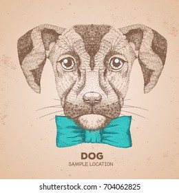 Hipster animal dog. Hand drawing Muzzle of dog
