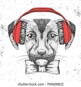 Hipster animal dog. Hand drawing Muzzle of dog