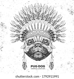 Hipster animal dog with indian feather headdress. Hand drawing Muzzle of animal dog