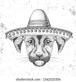 Hipster animal dog wearing a sombrero hat. Hand drawing Muzzle of dog