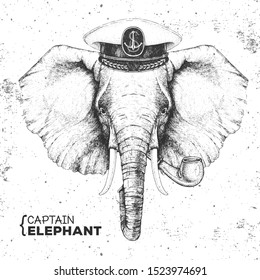 Hipster animal elephant captain's cap and smoking pipe. Hand drawing Muzzle of elephant