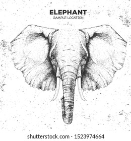 Hipster animal elephant. Hand drawing Muzzle of animal elephant