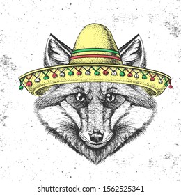Hipster animal fox wearing a sombrero hat. Hand drawing Muzzle of fox