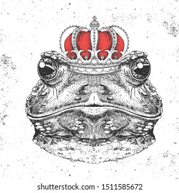 Hipster animal frog in crown  Hand drawing Muzzle frog