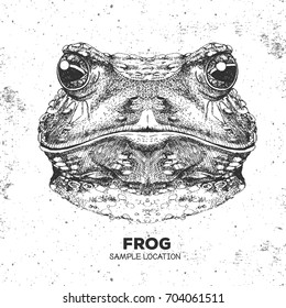 Hipster animal frog. Hand drawing Muzzle of frog