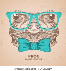 Hipster animal frog. Hand drawing Muzzle of frog