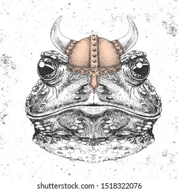 Hipster animal frog wearing a viking helmet. Hand drawing Muzzle of frog