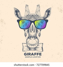 Hipster animal giraffe. Hand drawing Muzzle of giraffe