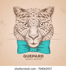 Hipster animal guepard. Hand drawing Muzzle of guepard