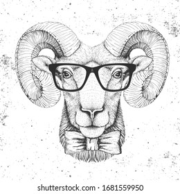 Hipster animal head of ram or mouflon. Hand drawing Muzzle of ram